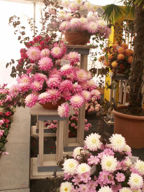 PICT3044