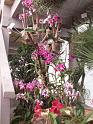 PICT3033