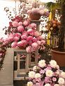 PICT3044