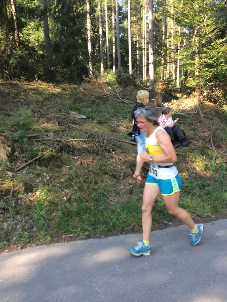 Sengbachlauf2015-12