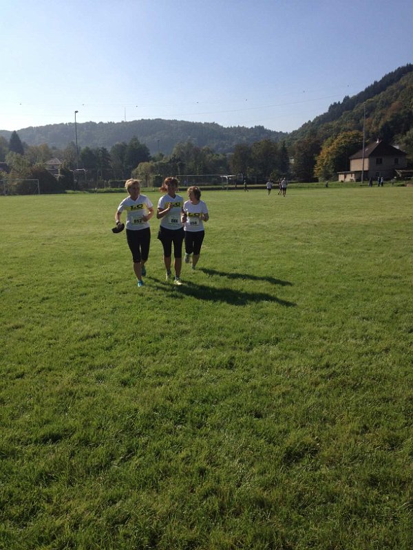 LCW-Wertheim-10-2014-008