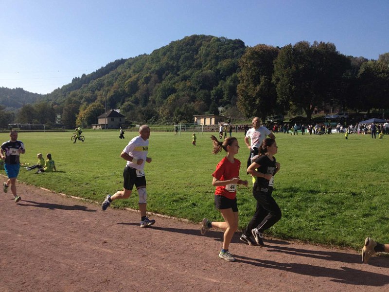 LCW-Wertheim-10-2014-019