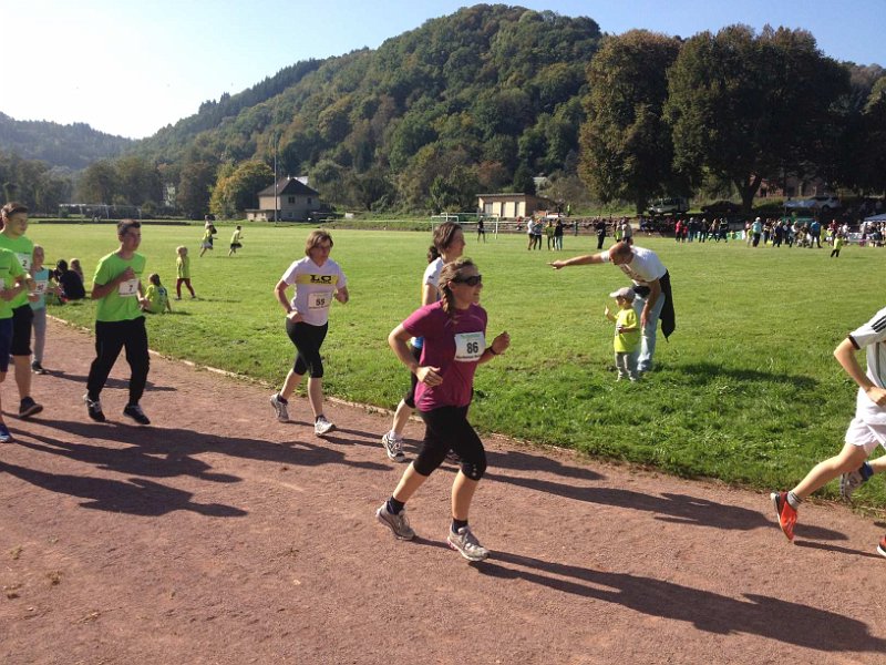 LCW-Wertheim-10-2014-020